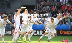 欧亿体育官网-无谓风险！欧预赛对抗比赛精妙精彩