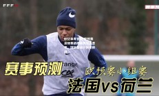 欧亿体育官网-欧预赛资格赛战绩差异引人思考，球队备战计划受挑战