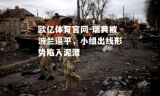 欧亿体育官网-瑞典被波兰逼平，小组出线形势陷入泥潭