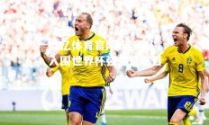 欧亿体育官网-瑞典队入围世界杯强备受瞩目