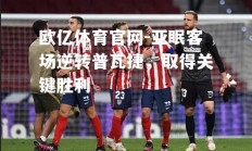 欧亿体育官网-亚眠客场逆转普瓦捷，取得关键胜利