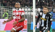 欧亿体育官网-门兴格拉德巴赫燃尽燃火，傲慢C位