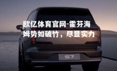 欧亿体育官网-霍芬海姆势如破竹，尽显实力