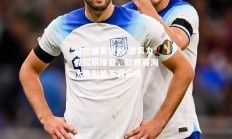 欧亿体育官网-波黑力克拉脱维亚，欧预赛淘汰赛形势不容乐观