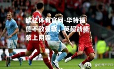 欧亿体育官网-华特福德不敌曼联，英超战绩蒙上阴霾
