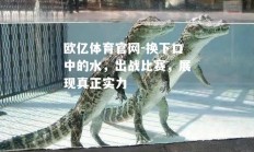 欧亿体育官网-换下口中的水，出战比赛，展现真正实力
