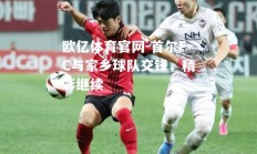 欧亿体育官网-首尔FC与家乡球队交锋，精彩继续