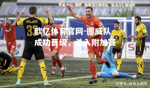 挪威队成功晋级，杀入附加赛