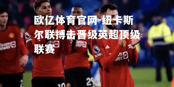 纽卡斯尔联搏击晋级英超顶级联赛