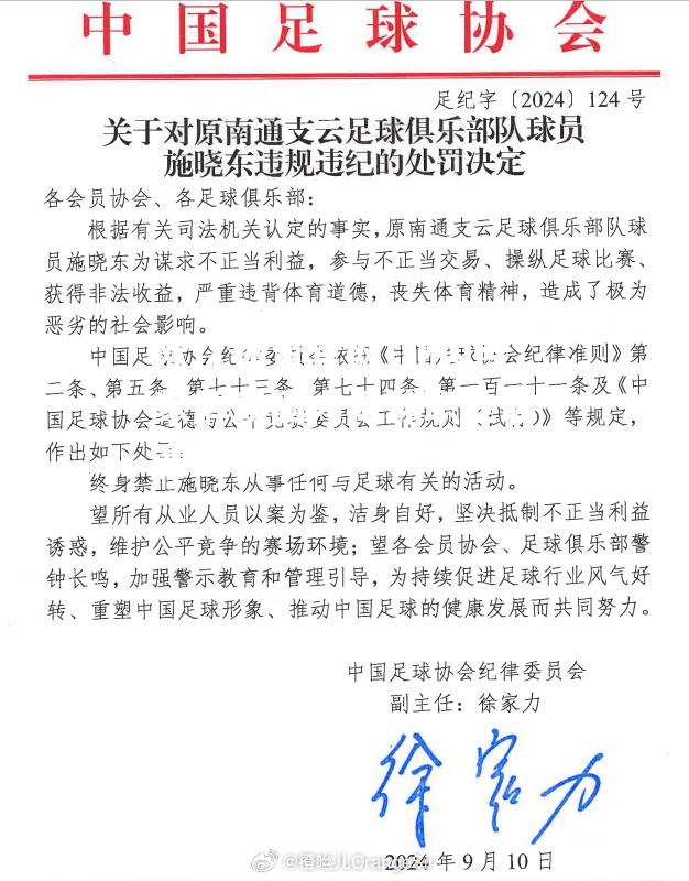 业内专家解读国内足球职业联赛最新形势