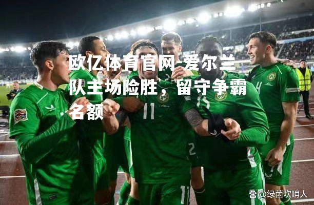 爱尔兰队主场险胜，留守争霸名额
