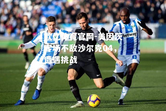 美因茨客场不敌沙尔克04，遭遇挑战