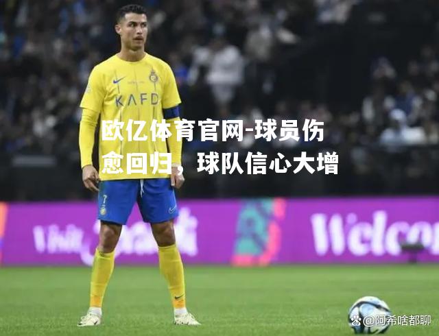 球员伤愈回归，球队信心大增