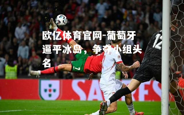 葡萄牙逼平冰岛，争夺小组头名