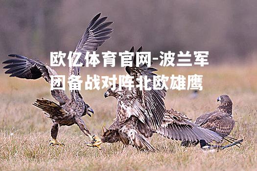 波兰军团备战对阵北欧雄鹰